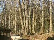 Bray Saint Aignan 45460 Achat / Vente terrain