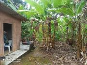 Brazlandia Chácara à Venda – Quitada e Escriturada |...