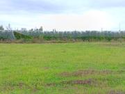 Bressols Vente Terrain 82