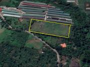 BRGY. HALANG, AMADEO CAVITE AGRI LOT