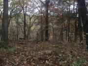 Briarwood Dr, Mound City, Plot For Sale