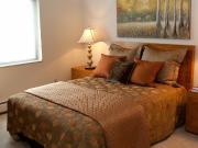 Bridlewood Apartments 1 Bedroom Apartment for Rent at...
