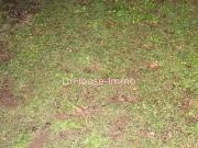 Brie 16590 Achat / Vente terrain