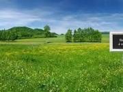 Brie Comte Robert 77170 Programme neuf terrain neuf à vendre