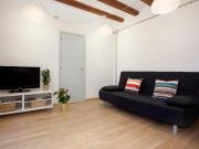 Bright 1 bedroom apartment near Playa de la Barceloneta Bright 1 bedroom apartment near Playa de la Barceloneta