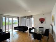 Bright 4 room apartment for interim rent August &...