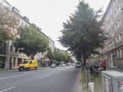 Bright and lovely studio in Mitte Berlin, Berlin...