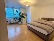 Bright and stylish apartment with balcony in central...