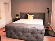 Bright, charming studio with garden terrace