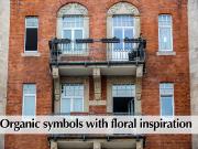 Bright & Cosy Apartment in perfect green Location,...