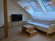 Bright Gem in Kaltental – Stylish Furnished 3 Room...