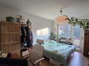 Bright & green room with 2 lovely cats