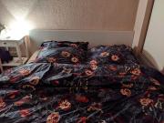 Bright, lovely loft Friedrichsfelde, Berlin Amsterdam...