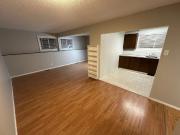 Bright & Spacious 1 Bedroom Lower Suite, Convenient Location