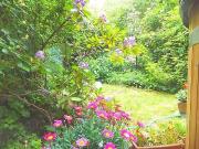 Bright spacious 2 room apartment with garden in...