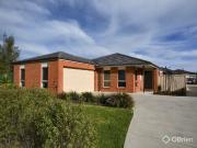 Bright, Spacious, and Low Maintenance Bright, Spacious, and Low Maintenance