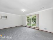 Bright Sunroom, big backyard your perfect 3x1 rental!