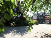 Broad Road, Monken Hadley House, Braintree, 2 Bedroom...