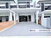 Bromelia Bukit