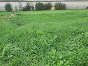 Bron 69500 Programme neuf terrain neuf à vendre