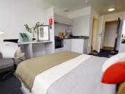 Bronze Studio Deluxe