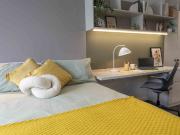 Bronze Studio Premium, at iQ Vega