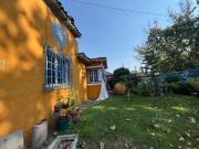 BROWN SUR, DUBLE ALMEYDA