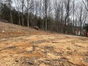 Brummett Ln Lot,albany, Plot For Sale