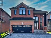 BSMT 131 SILVER LINDEN DRIVE