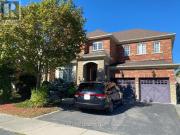 Bsmt 30 Richgrove Drive, Brampton, ON, L6P 1X6 house for...