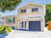Bsmt 390 Bartley Bull Parkway, Brampton, ON, L6W 2L8...
