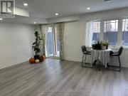 BSMT 50 DRIZZEL CRESCENT