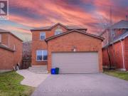 Bsmt 87 Fernbank Place, Whitby, ON, L1R 1T2 house for...