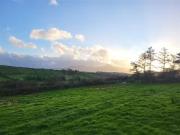 Buckfield, Kilmeena, Westport, Mayo, F28 T289