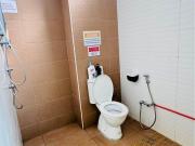 Budget Co Living Room for Rent at Tanjung Bungah Penang