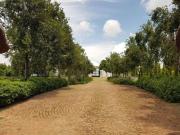 build a mansion with the best views.