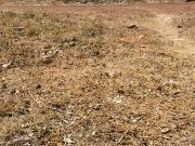 Build Your Dream Home: 200 sqm Lot in Verdana Homes,...