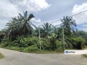 Bukit Damar