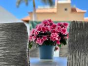 Bungalow · Alquiler a largo plazo ·