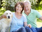 Frühlingserwachen im Bungalow Neubau auf Keller + Streif...