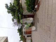 Bungalow for rent 7 bedrooms with basement 1000 yards...