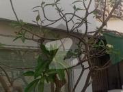 Bungalow For Rent Clifton Block 9