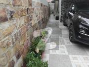 Bungalow for rent dha phase 4