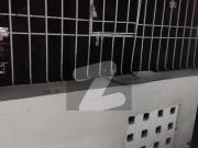 Bungalow For Rent DHA Phase 5