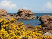 Bureau Lannion Bretagne 22300 ELS96181476