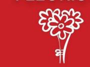 Bureau Le Mont Saint Michel Basse Normandie 50170...