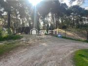 Bureau Mougins Provence Alpes Côte d'Azur 06250...