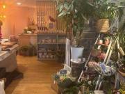 Bureau Roscoff Bretagne 29680 DS99733360