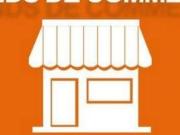 Bureau Saint Midi 31140 DS99290137