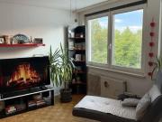 BURG LIECHTENSTEIN nahe 3 Zimmer Eigentumswohnung